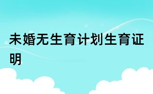 未婚无生育计划生育证明