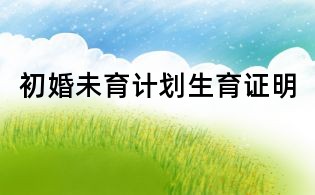 初婚未育计划生育证明
