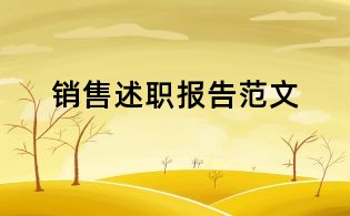 销售述职报告范文