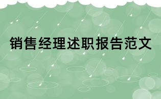 销售经理述职报告范文