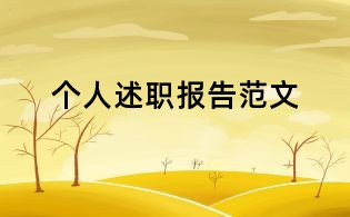 个人述职报告范文