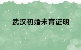武汉初婚未育证明
