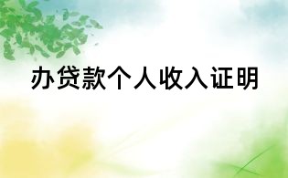 办贷款个人收入证明