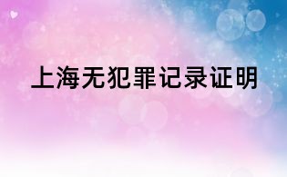 上海无犯罪记录证明