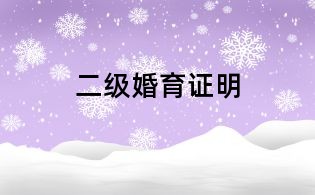 二级婚育证明