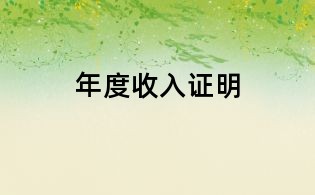 年度收入证明