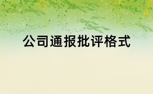 公司通报批评格式