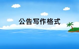 公告写作格式