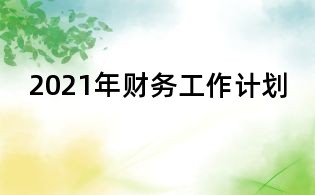 2021年财务工作计划