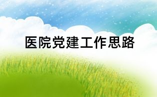 医院党建工作思路