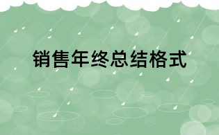 销售年终总结格式
