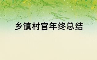 乡镇村官年终总结