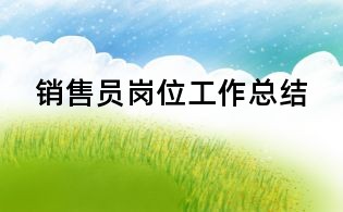 销售员岗位工作总结
