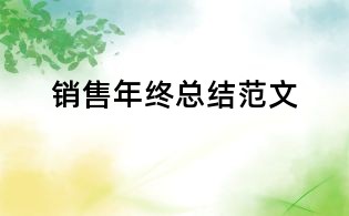 销售年终总结范文
