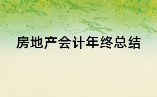 房地产会计年终总结