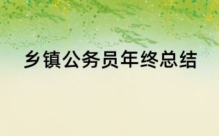 乡镇公务员年终总结