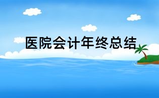 医院会计年终总结