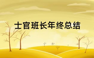 士官班长年终总结