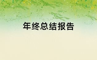 年终总结报告