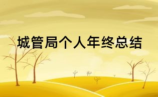 城管局个人年终总结