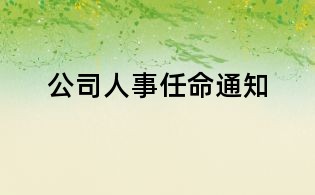 公司人事任命通知