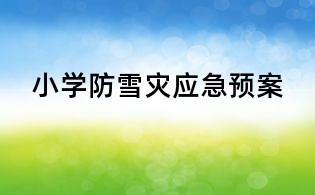 小学防雪灾应急预案