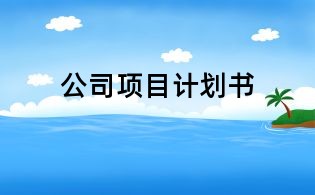 公司项目计划书
