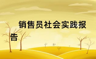 销售员社会实践报告