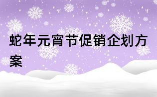 蛇年元宵节促销企划方案
