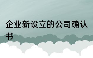 企业新设立的公司确认书