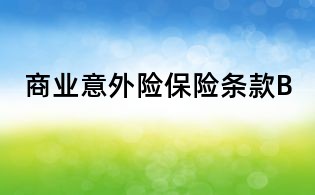 商业意外险保险条款B