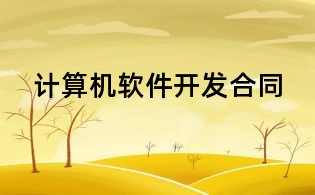 计算机软件开发合同