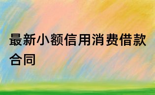 最新小额信用消费借款合同