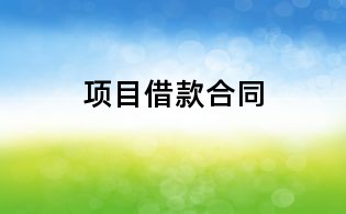 项目借款合同