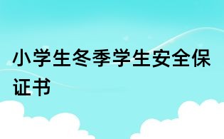 小学生冬季学生安全保证书