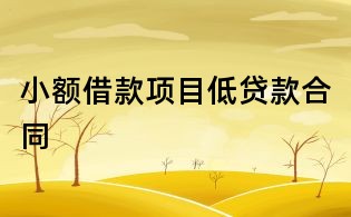 小额借款项目低贷款合同