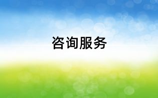 咨询服务