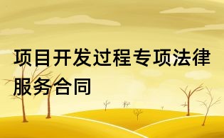 项目开发过程专项法律服务合同