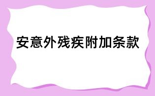 安意外残疾附加条款