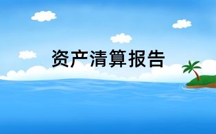 资产清算报告