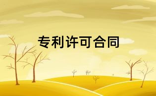 专利许可合同