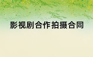 影视剧合作拍摄合同
