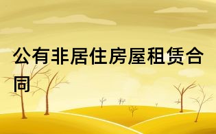 公有非居住房屋租赁合同