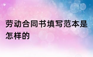 劳动合同书填写范本是怎样的