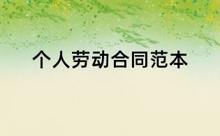 个人劳动合同范本