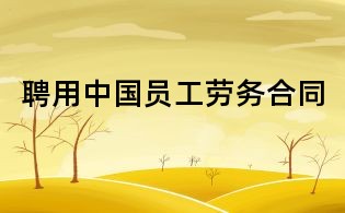 聘用中国员工劳务合同