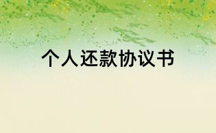 个人还款协议书