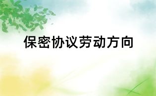 保密协议劳动方向