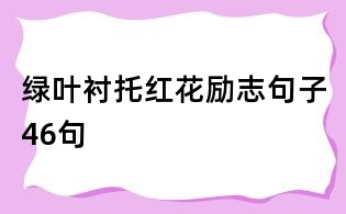 绿叶衬托红花励志句子46句