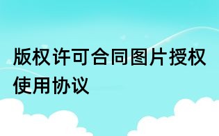 版权许可合同图片授权使用协议